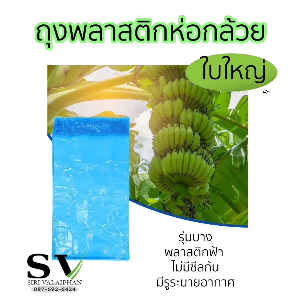 ถุงห่อกล้วย พลาสติกฟ้า ขนาด 80×150 cm แพ็ค 10 ใบ แบบบาง(ไม่มีซีลก้น) มีรูระบายอากาศ สำหรับห่อกล้วยหอม ผลไม้อื่นๆ