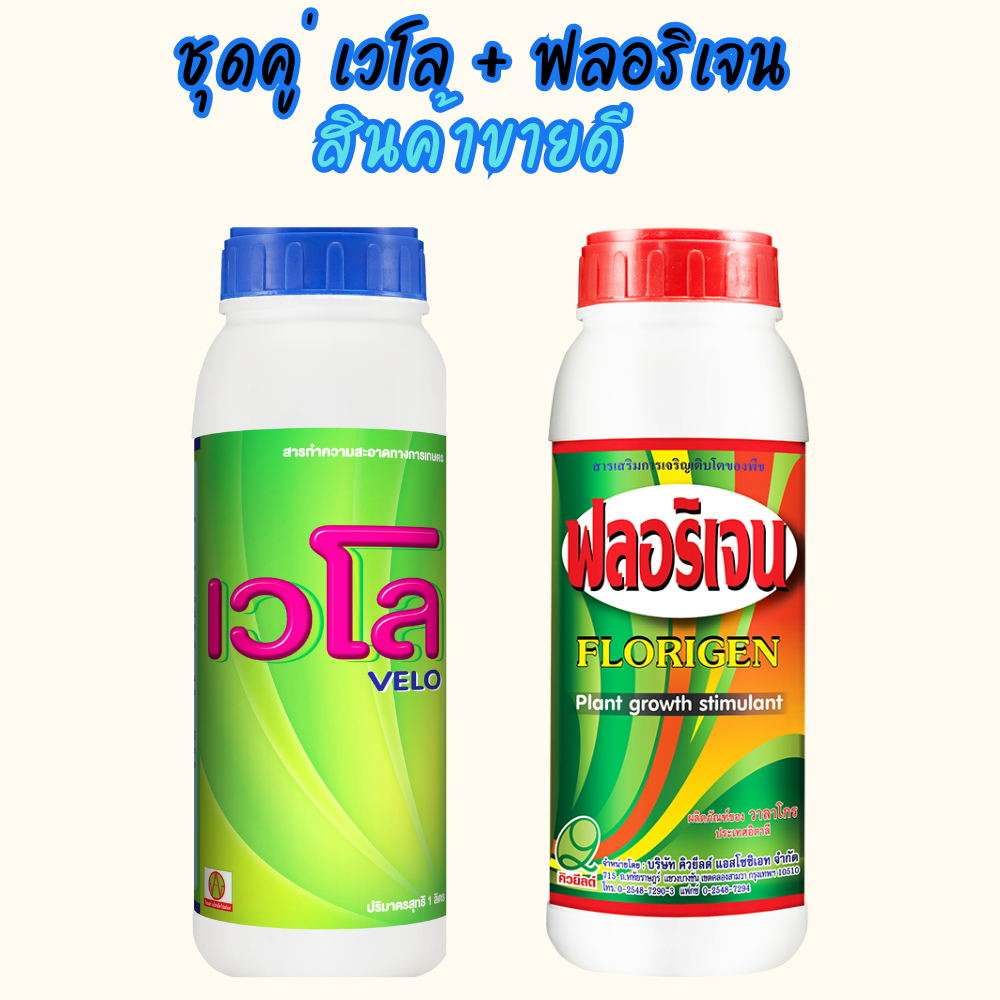 (พร้อมส่ง) ชุดคู่ เวโล ฟลอริเจน ปราบเชื้อพร้อมกระตุ้นรากใบเขียวเข้ม