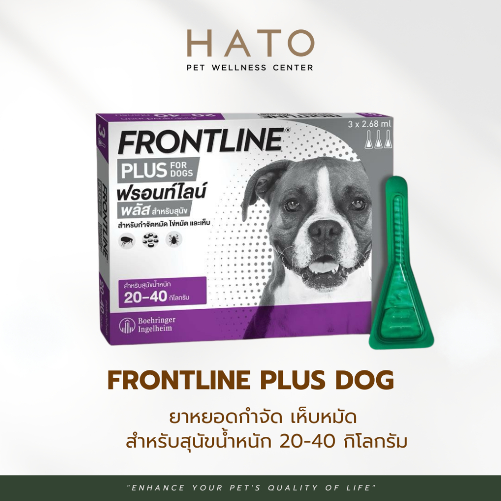 FRONTLINE PLUS DOG Size L (20-40 kg) ฟรอนท์ไลน์ พลัส ยาหยดกำจัดเห็บหมัด สำหรับสุนัข 1 กล่อง (3หลอด)