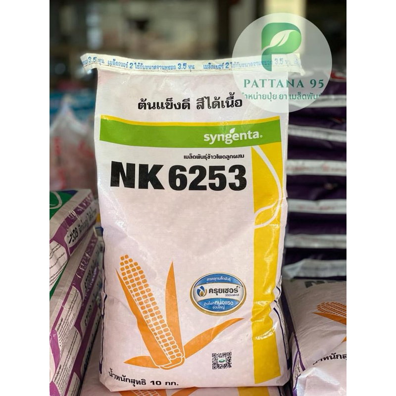 เมล็ดพันธุ์ข้าวโพด NK6253 (3 หุน,3.5 หุน) *ขนาด 10 กก. ฝักสวย สีได้เนื้อ เก็บเกี่ยวได้ทั้งแบบสดเเละแ