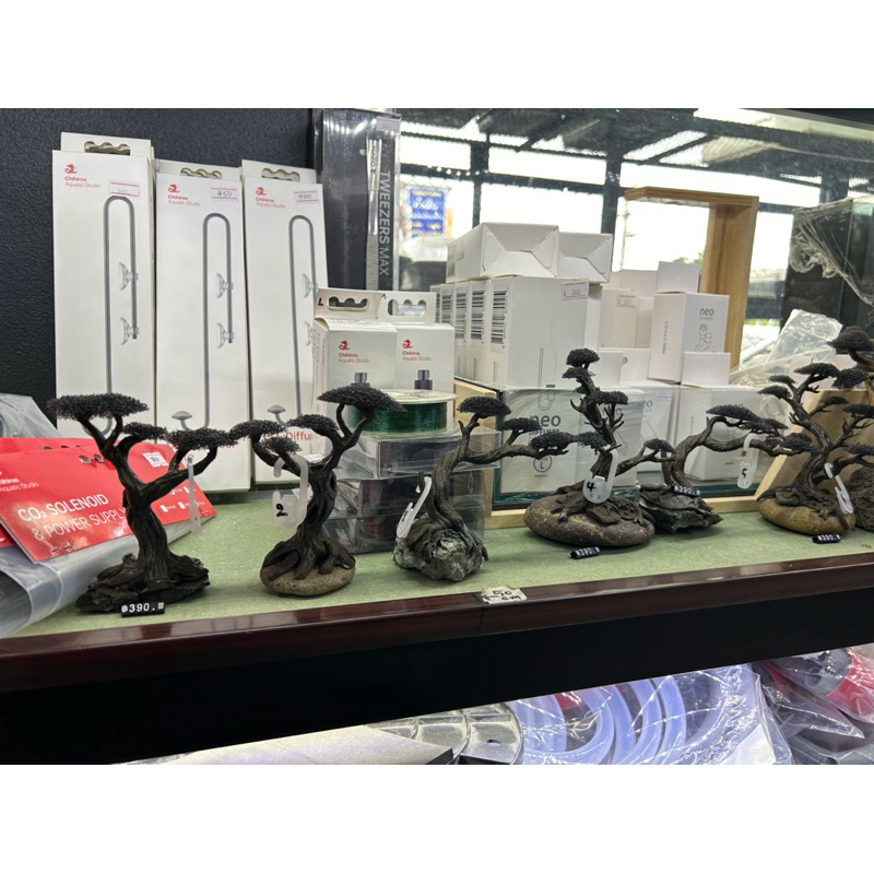 ต้นไม้ บอนไซ เล็ก จำลอง ปลอดภัย วัสดุรีไซเคิลจากขวดน้ำ petg สำหรับพื้นที่ ฐาน 10x10 cm ความสูง 15 cm plastic bonsai จิ๋ว