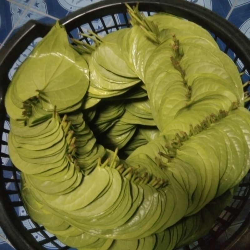 พลูเหลืองปราจีนใบพลูเหลืองกินหมากขนาด(0.5kg)คึ่งกิโลกรัมใหม่สดเก็บใหม่ทุกวัน