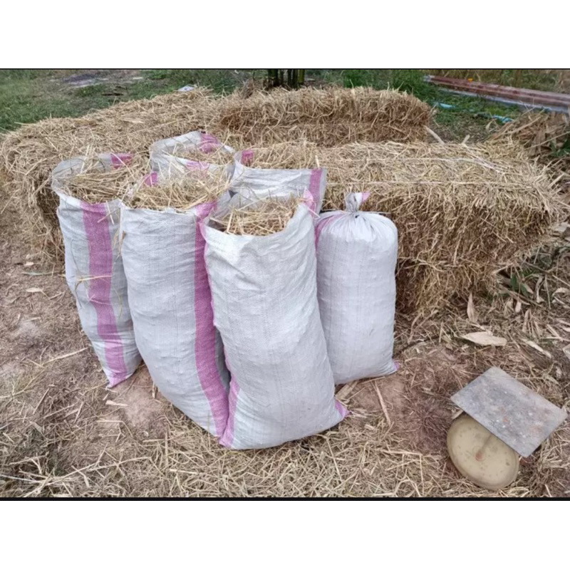 กระสอบพลาสติก 20x36 นิ้ว บรรจุได้ถึง 30 กิโลกรัม