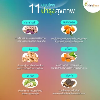 Life Origin ดูแลไตเพิ่มหลังไต บำรุงแหล่งพลังงานของร่างกาย