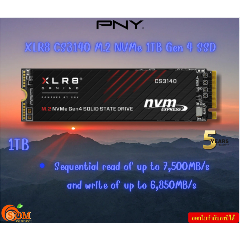 PNY SSD CS3140 1TB M.2 NVMe 4x4, 7500 MB / 5650 MB- M280CS3140-1TB-CL รับประกันสินค้า5ปี