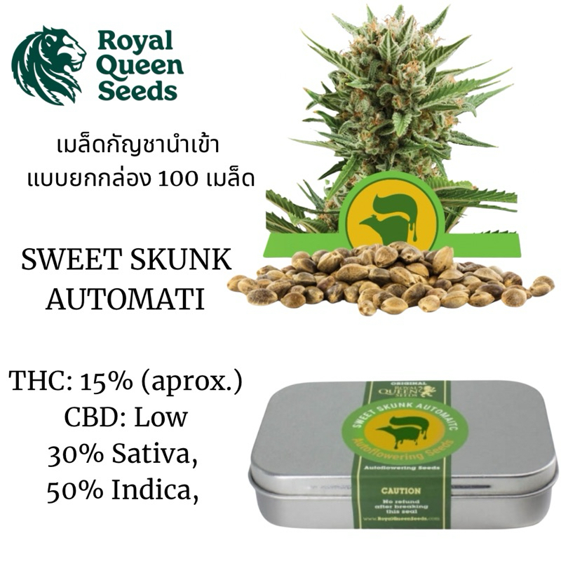 เมล็ดพันธุ์กัญชา Sweet Skunk Automatic Bulk Seeds เเบบกล่อง  100 เมล็ด เมล็ด