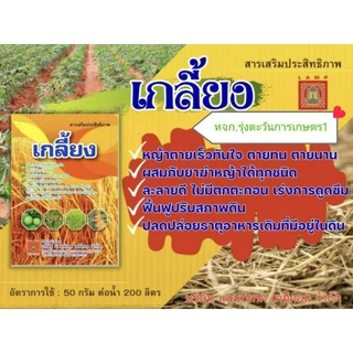 สารเสริมประสิทธิภาพเกลี้ยง100กรัม