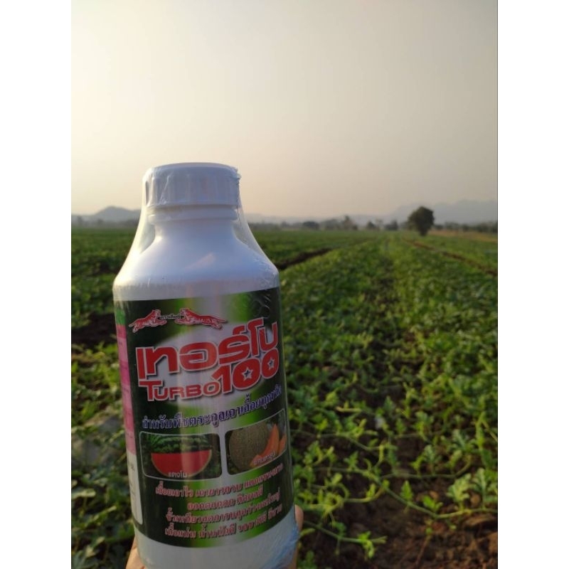 เทอร์โบ 100 ตราเสือคู่ สำหรับพืชเถาเลื้อย ลูกใหญ่ผลดก ยอดเดินไว เถาอวบแข็งแรง - รูปที่ 6