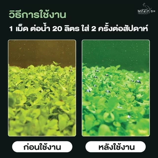 Co2 แบบเม็ด ละลายในน้ำ เพิ่มก๊าซคาร์บอนไดออกไซด์ให้กับพืชน้ำ ช่วยให้พืชน้ำเจริญเติบโตได้ดี 1ซอง 10เม็ด