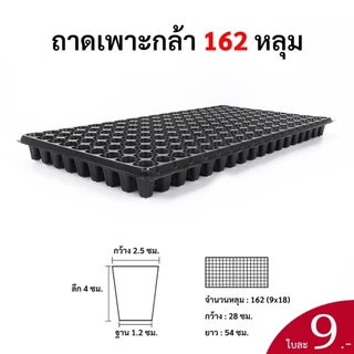 ถาดเพาะกล้า ถาดหลุม ถาดเพาะชำ ยกกล่อง 100 ใบ หนา 0.8 มิล ขนาด 21, 32, 50, 72, 105, 162, 200 หลุม