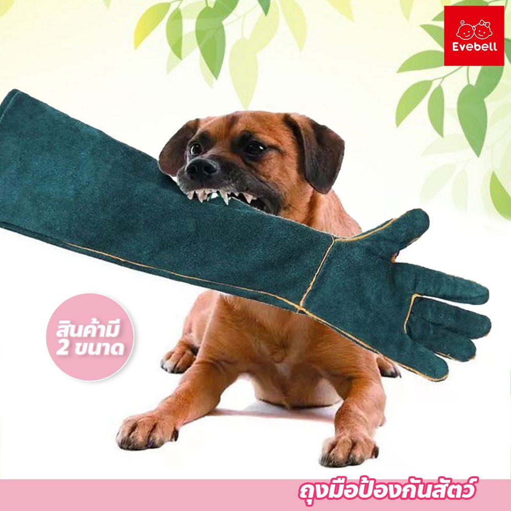 evebell ถุงมือป้องกันสัตว์ แบบหนาพิเศษ ใช้ฝึกสุนัข แมวดุ เพื่อความปลอดภัย