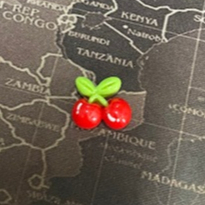แม่เหล็กเชอร์รี่ Cherry Magnet