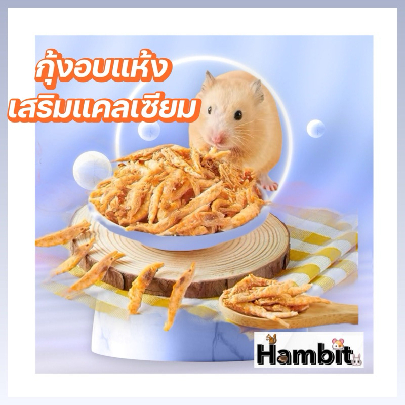Hambit. กุ้งอบแห้ง ขนาด 1 กรัม ช่วยเสริมแคลเซียม สำหรับแฮมเตอร์ ชูการ์ กระรอก ดอร์เมาส์ หนู