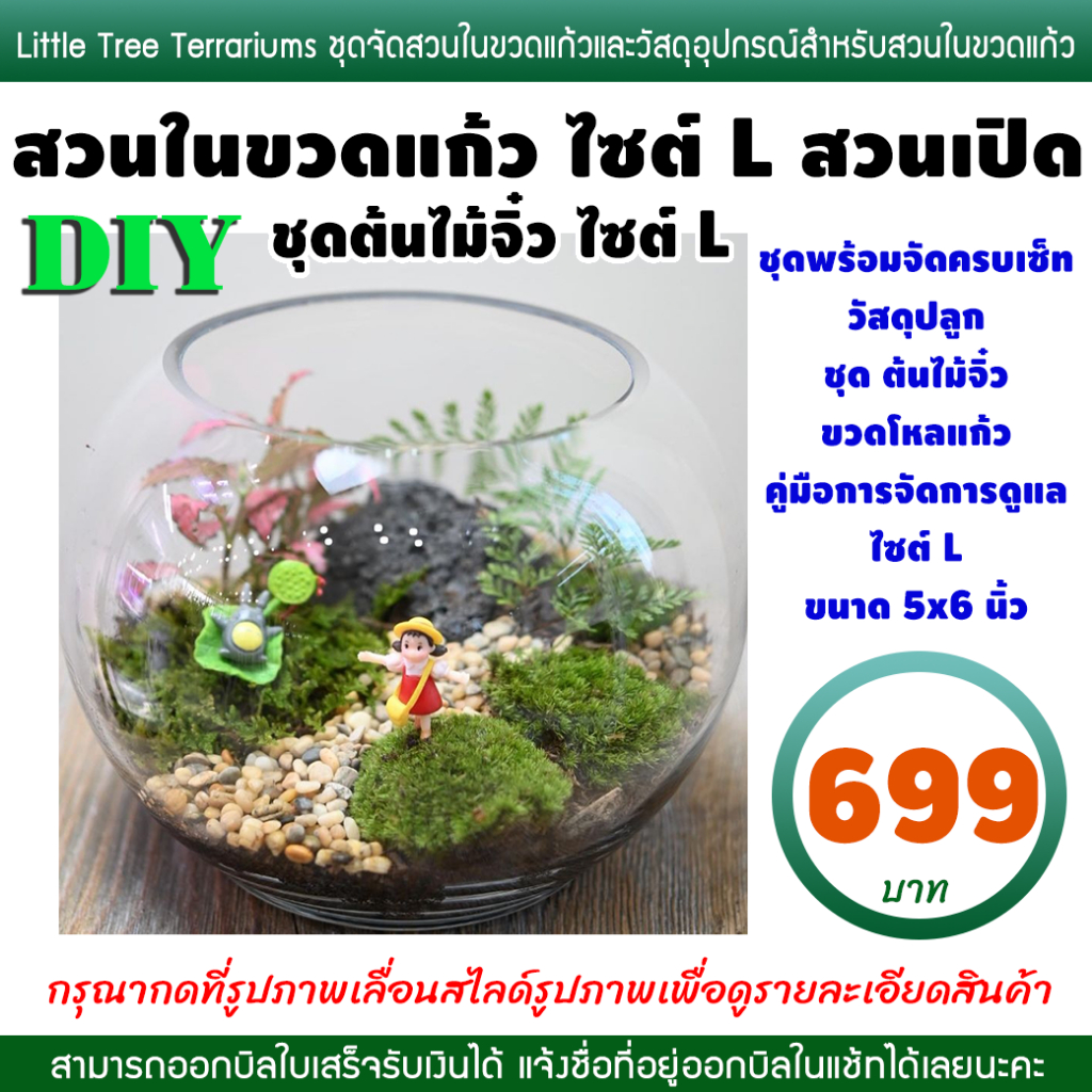 สวนขวด ต้นไม้จิ๋ว DIY ไซต์ L 699 บาท สวนเปิด โหลไม่มีฝา