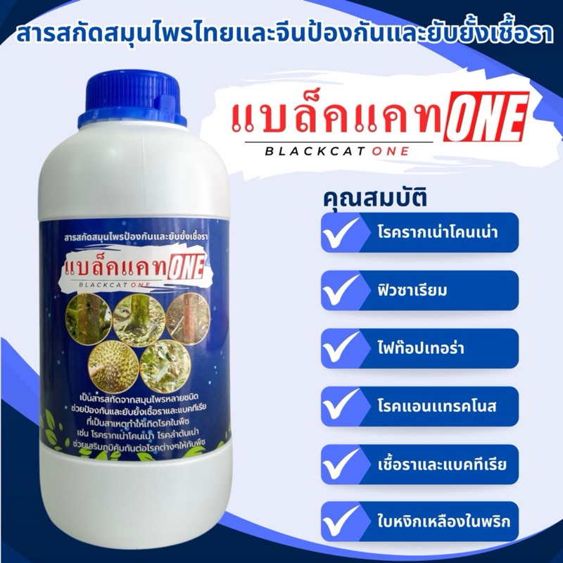 แบล็คแคทONE สารสกัดสมุนไพรไทยและจีน ป้องกันและยับยั้งเชื้อรา