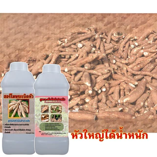 ฮอร์โมนเร่งหัวมันสําปะหลัง ซื้อ 1 ลิตร ฟรี 1 ลิตร