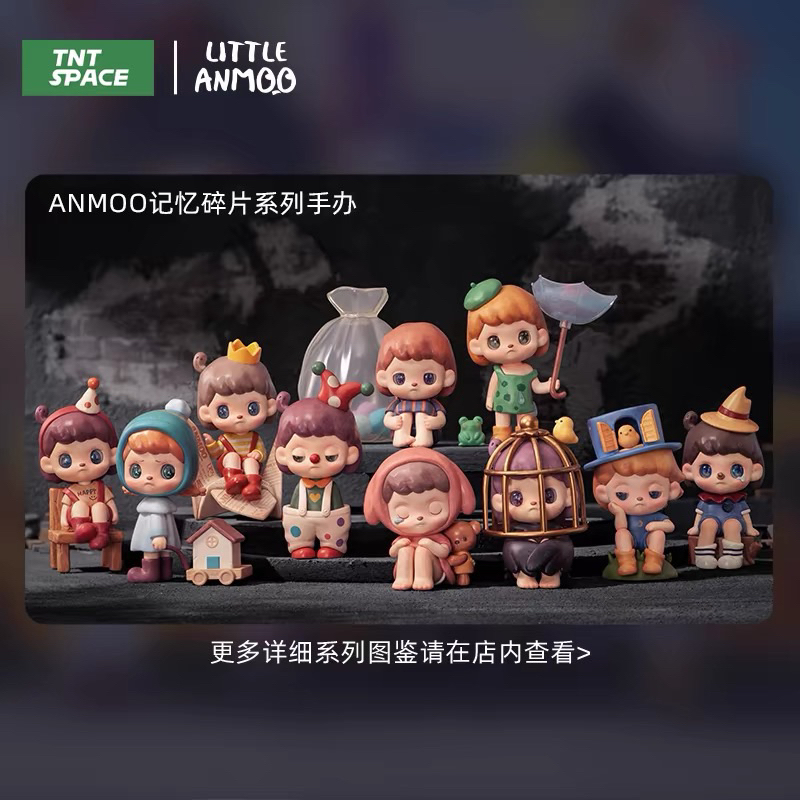 💥สินค้าพร้อมส่ง💥 กล่องสุ่ม TNTspace Anmoo Memento