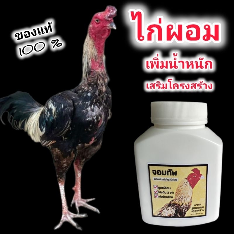 จอมทัพอาหารเสริมไก่ชน ดูแลไก่ผอม/อกแหลม/ซีด/ไม่หอบง่าย/กำลังมาไวยอดนิยม