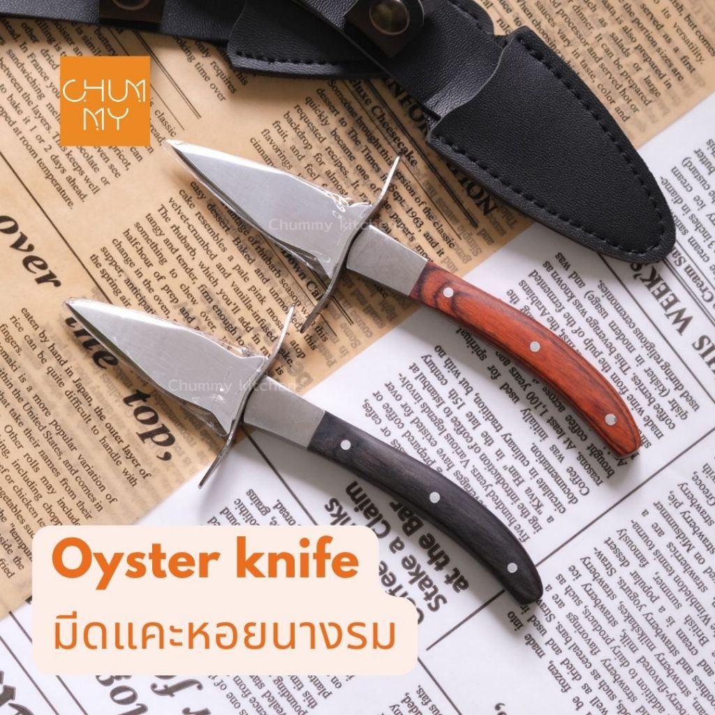 มีดหอยนางรม มีดแกะหอยนางรม มีดแคะหอยนางรม Oyster knife มีด