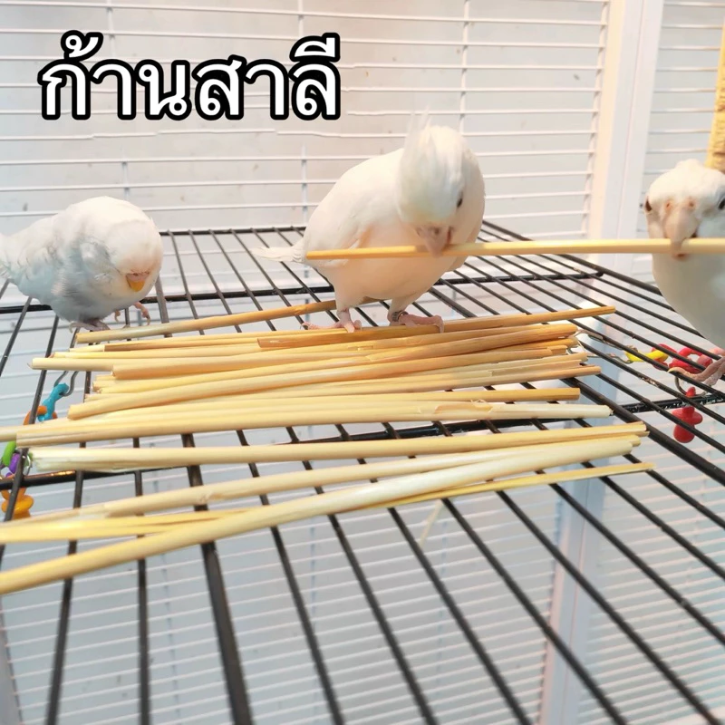 E-28 ของเล่นนกแก้ว ก้านสาลี กัดเล่น นกกัดแตกได้ง่าย 1 ห่อ 50 กรัม