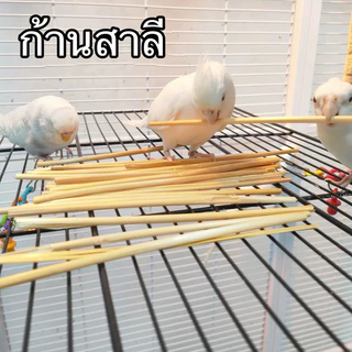 E-28 ของเล่นนกแก้ว ก้านสาลี กัดเล่น นกกัดแตกได้ง่าย 1 ห่อ 50 กรัม