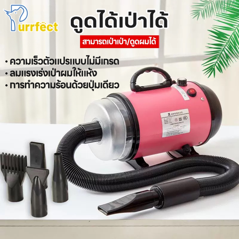 ไดร์เป่าขนหมา2800w เครื่องเป่าขนหมา เครื่องเป่าขนแมว เป่าขนสุนัข ที่เป่าขนสุนัข ไดร์เป่าขนแมว เสียงเงียบ ลมแรง