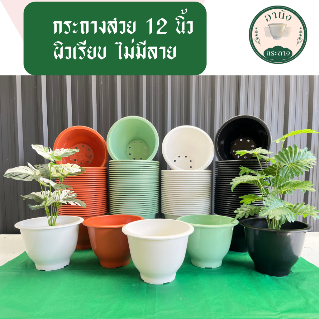 กระถางสวย 12 นิ้ว ผิวเรียบ ไม่มีลาย