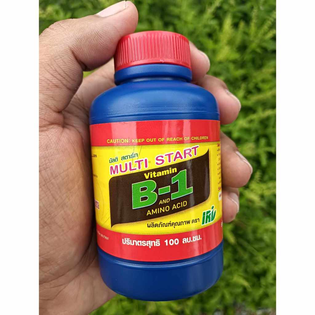 น้ำยาเร่งราก B-1 Multi start วิตามินบี 1 + กรดอะมิโน เร่งรากพืช เร่งรากผักไฮโดรโปนิกส์