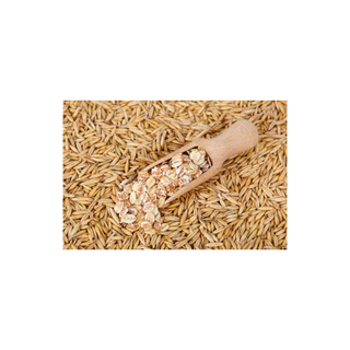 ข้าวโอ๊ตเต็มเม็ดสำหรับหุง Whole Oat Groats NON-GMO 500-1000g จาก SummerGrains