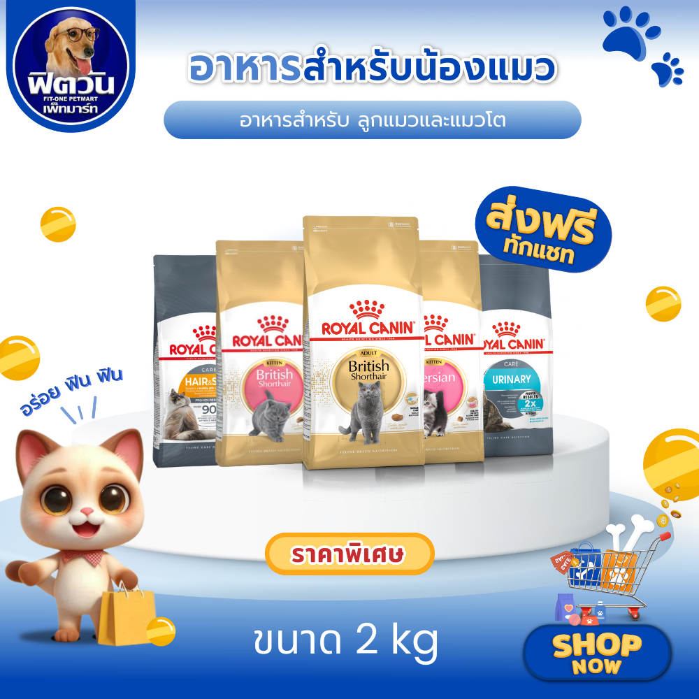ROYAL CANIN สูตรพิเศษ สำหรับลูกแมวเเละแมวโต อาหารแมว ขนาด 2 กก. {อาหารแมวเม็ด}