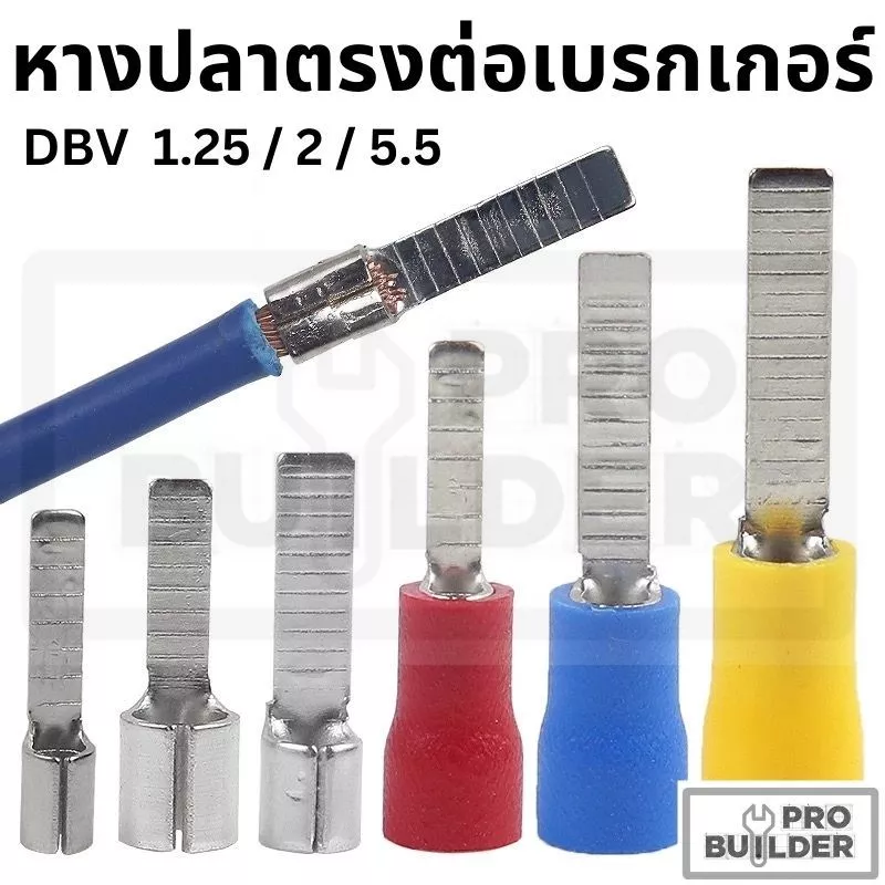 DBV หางปลา หางปลาตรง หางปลาย้ำสายแบบตรง