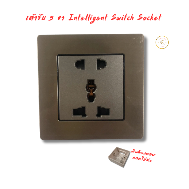 เต้ารับ 5 ขา Intelligent Switch Socket