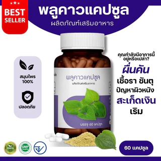พลูคาวแคปซูล ตราภูรีเฮิร์บ 60 แคปซูล - สมุนไพรผิวหนัง ผื่นคัน (ส่งจาก กรุงเทพฯ)