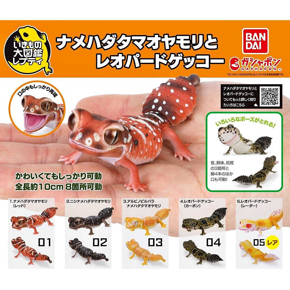 (ครบชุดพร้อมส่ง) กาชาปองตุ๊กแกหางตุ้ม-เสือดาวมินิ Gashapon Bandai IkimonoThree-lined Knob-tail & Leopard Gecko Mini