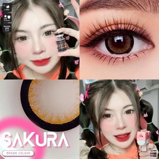 บิ๊กอาย ☆ SAKURA eff.19 💫Wink wow💫