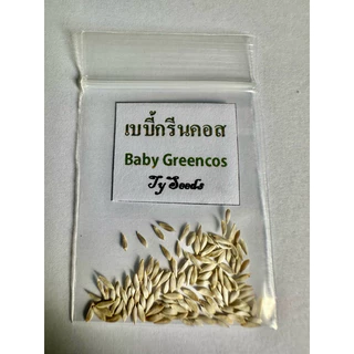 เมล็ดพันธุ์ เบบี้กรีนคอส 100 เมล็ด [ 10แถม2 ]คละได้