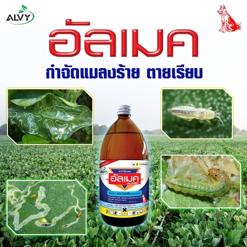 อัลเมค 1 ลิตร อะบาเม็กติน ยาน็อค กำจัดแมลง กำจัดเพลี้ย หนอน ไร
