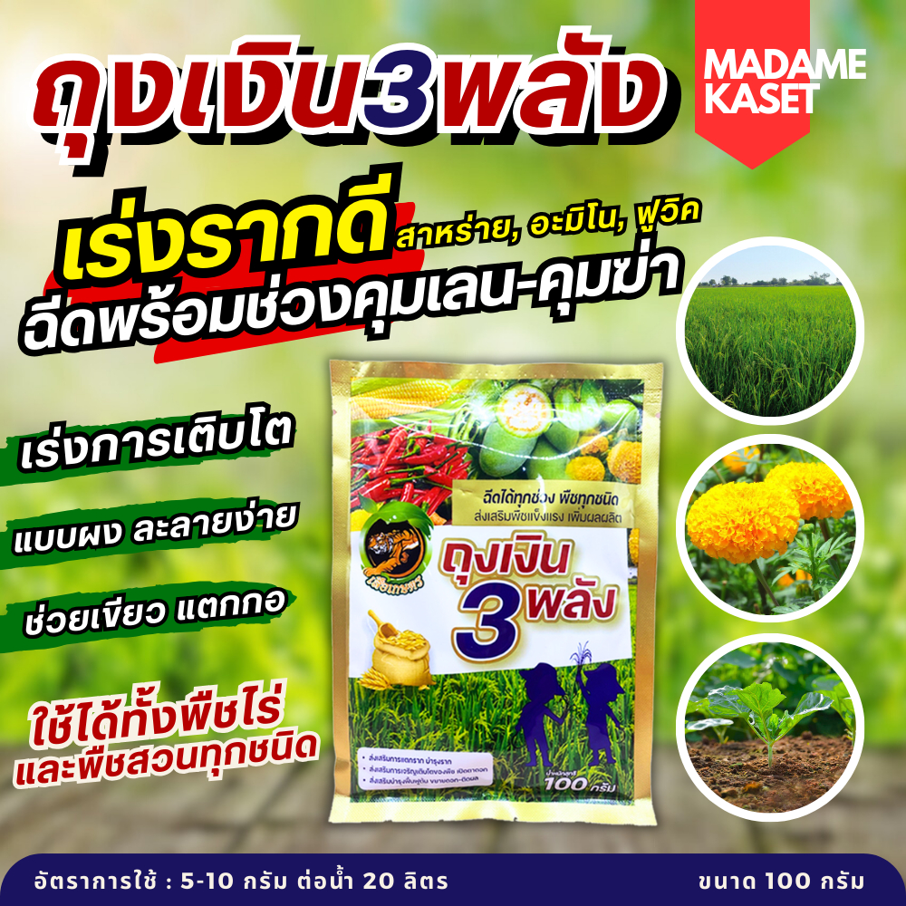 ถุงเงิน3พลัง บำรุงราก บำรุงดิน ตัวช่วยบวกคุมเลน ช่วยให้ข้าวตั้งหน่อไว ช่วยให้ดินไม่แน่น ดินฟู รากเดินดี เปิดตาดอก ฟื้นฟู