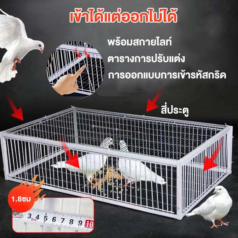 กรงดักนก Bird trap cage กรงดักนก กรงกับดักนกพิราบ กรกดักนกเขา กรงนกพิราบ ที่ดักนก กรงต่อนก กรงนกทางเดียว