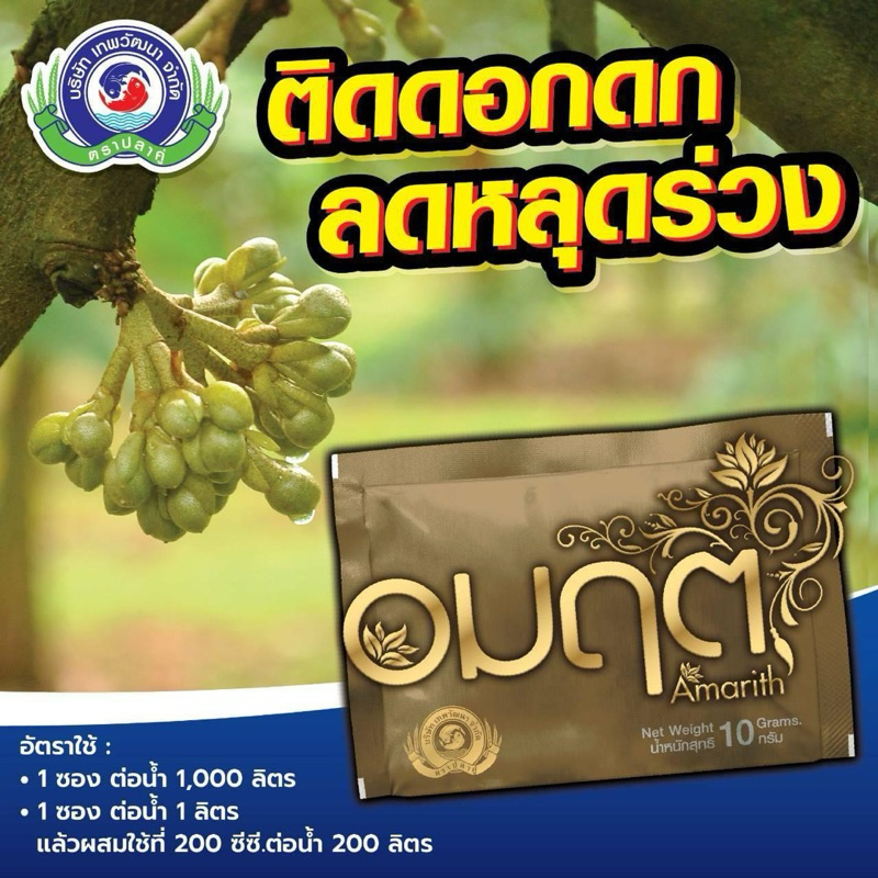ช่วยให้ทุเรียนติดดอก ป้องกันดอกร่วง // อมฤต (โมลิบดินัม1%) 1 ซอง เทพวัฒนา