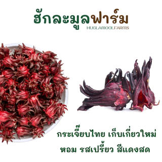 กระเจี๊ยบแดง 100g แถมพุทราจีน กระเจี๊ยบแห้ง HuglamoolFarm