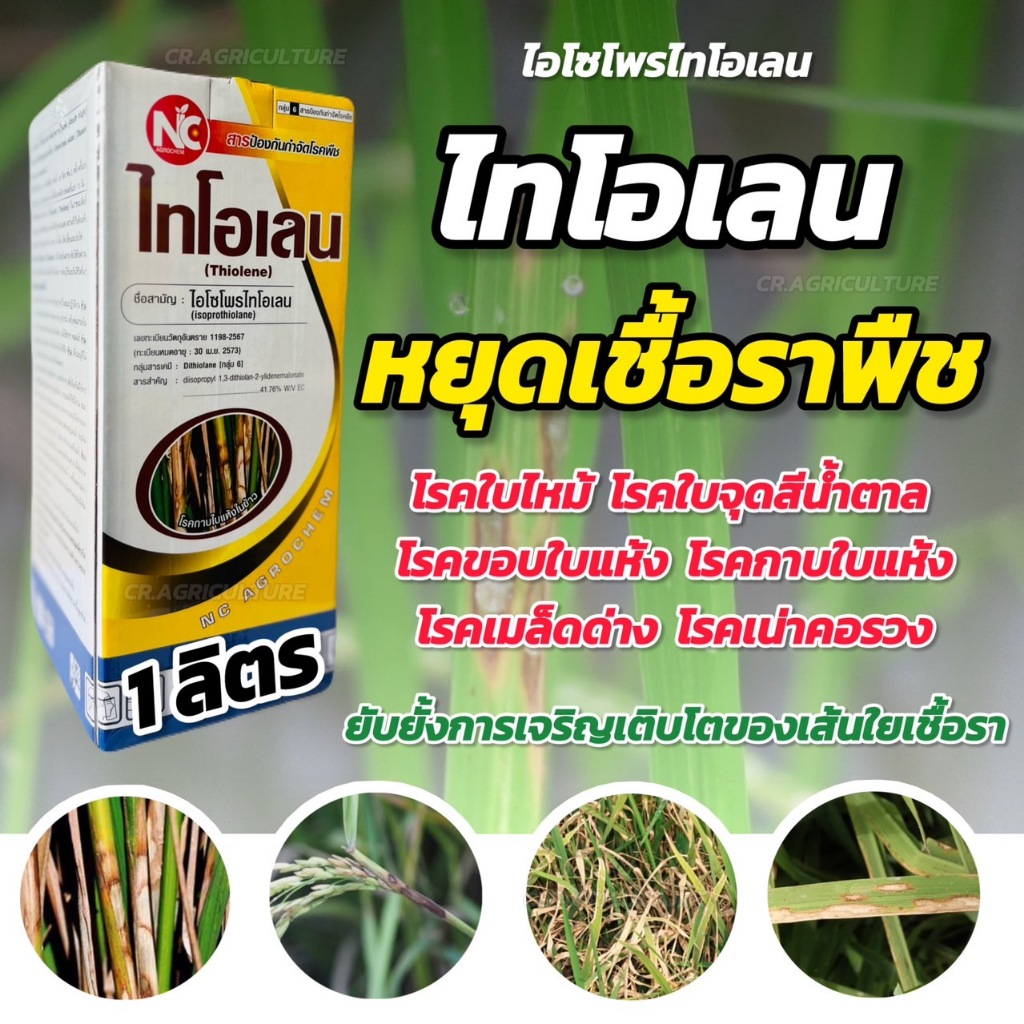 ฟูจิวัน 1 ลิตร ( ไอโซโพรไทโอเลน ) กำจัดเชื้อรา โรคใบไหม้ ใบจุด ขอบใบแห้ง ต้นเน่า เน่าคอรวง กาบใบแห้ง