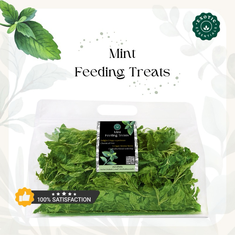 Exotic Essentails 🌿 Mint ใบมิ้นต์พรีเมียม กลิ่นหอมฟุ้งสดชื่น กระตุ้นการอยากอาหาร สำหรับกระต่าย แกสบี้ ชินชิล่า แพรรีด็อก