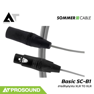 Sommer Cable Basic SC-B1 สายไมโครโฟนสำเร็จรูป (XLR to XLR) คุณภาพสูง ใช้งานได้หลากหลาย AT Prosound