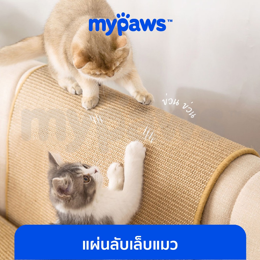 My Paws พรมลับเล็บแมว ที่ลับเล็บแมว เสื่อลับเล็บแมว แผ่นลับเล็บแมว XL กันข่วน ของเล่นแมว