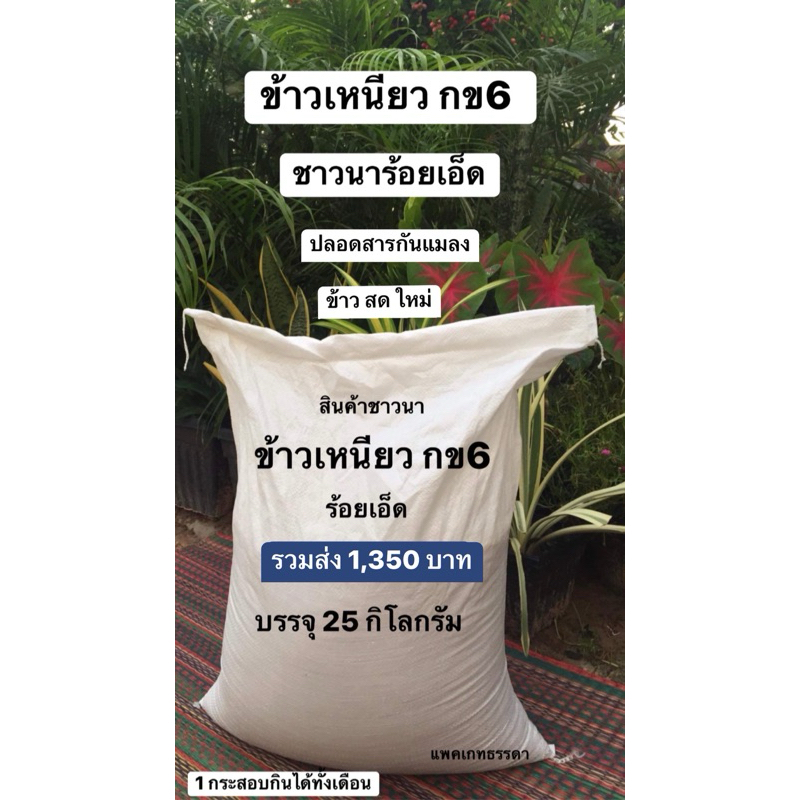 ข้าวเหนียว กข 6 จังหวัดร้อยเอ็ด 1 กระสอบ บรรจุ 25 กิโลกรัม รวมส่ง 1,350 บาท ข้าวสารพื้นบ้าน ชาวนาสีเอง ปลอดสารกันแมลง