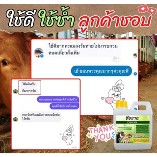 ชัยวาน ดูแลวัว ควาย ไก่ จัดการแมลงวัน แมลงหวี่ ริ้น ไร ตอมแผลวัว ขนาด 1 ลิตร ⭐️ฟรี⭐️หัวฉีดสเปร์ย 1 ชิ้น แค่ฉีดหรือทา