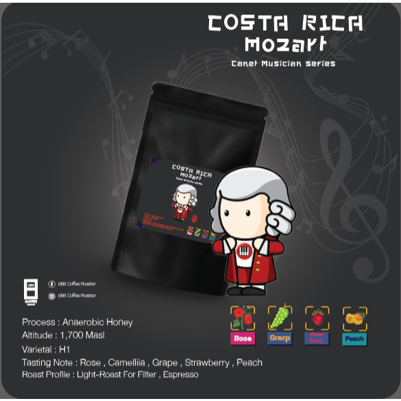 COSTA RICA MUSICIAN SERIES MOZART"