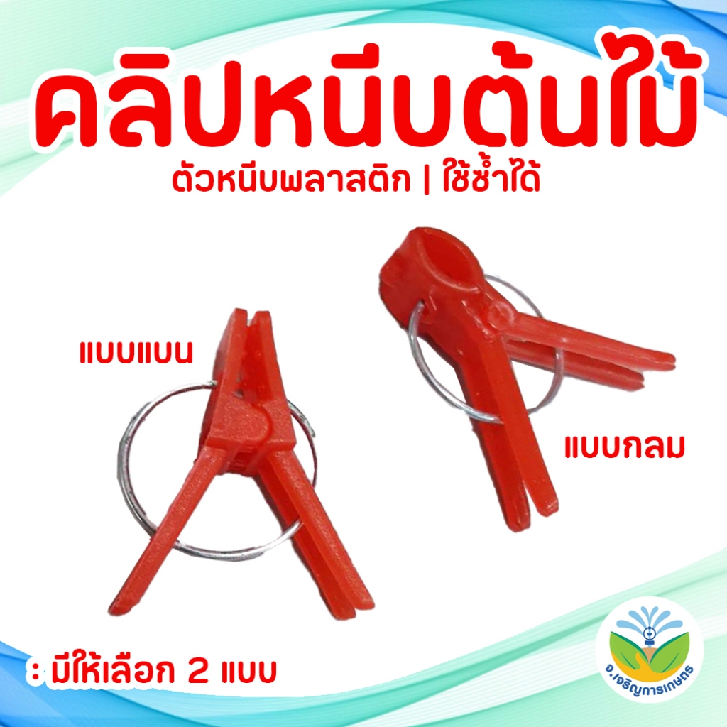 คลิปหนีบต้นไม้ ( แพ็ค 100 ชิ้น ) / ตัวหนีบกิ่งไม้ / ตัวหนีบพลาสติก
