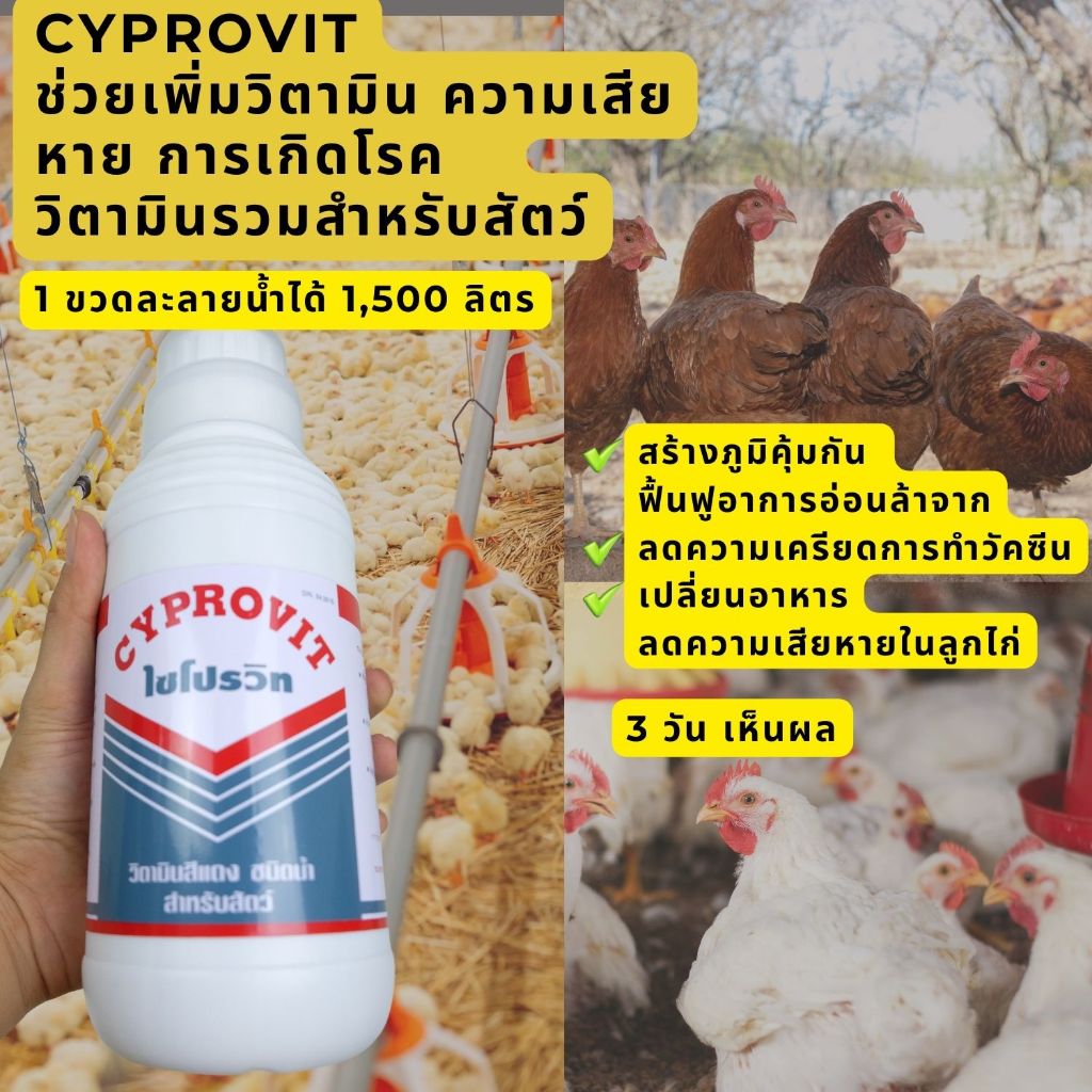ไซโปรวิท วิตามินเสริมสำหรับไก่เนื้อ ไก่ไข่ ขวด 1 ลิตร